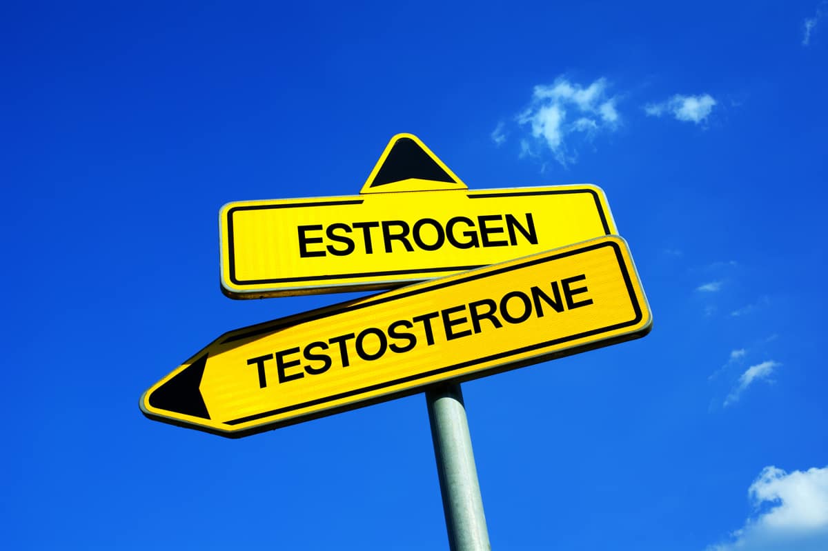 Road sign implying that there has to be a balance between estrogen and testosterone.